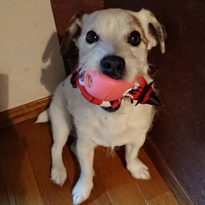 862c70df ecd3 4a3f 9699 16d58f119589 1529364462733