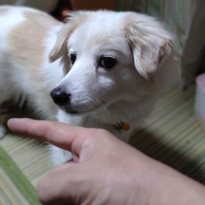 862c8156 de4a 4622 bc0e 7f91ce08ef38 1647509634607