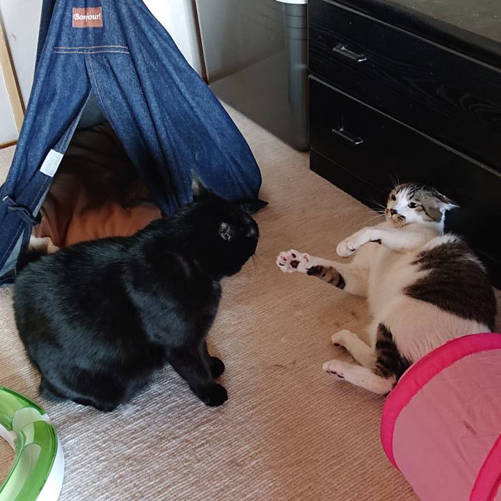 862c94c4 86a6 4957 8e38 96a9f0a0c378 1579045589201