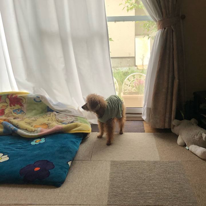 862cbdd4 4590 4e4d bf72 99d8a1b74bf4 1695291238685