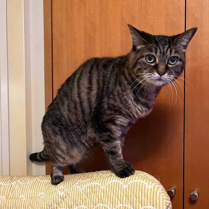 862cdc70 e56d 4b88 9f2c 5a429bf672c1 1759752840983