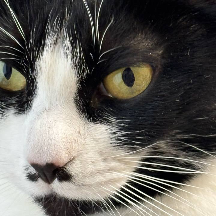 862ce523 3052 4269 86c1 e1489b0497dc 1769824402358