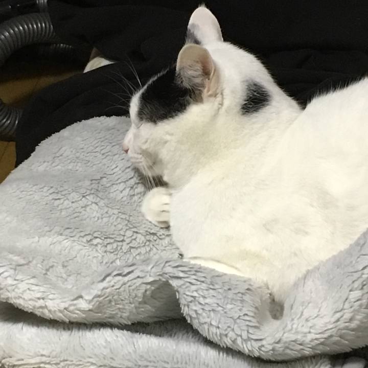 862cfa07 6c6e 4ad2 b09c 8f944d1c3c13 1545927093644