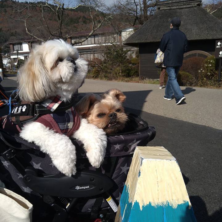 862d20f4 3175 4bb3 b8d6 57e7ebaec18e 1637754850305