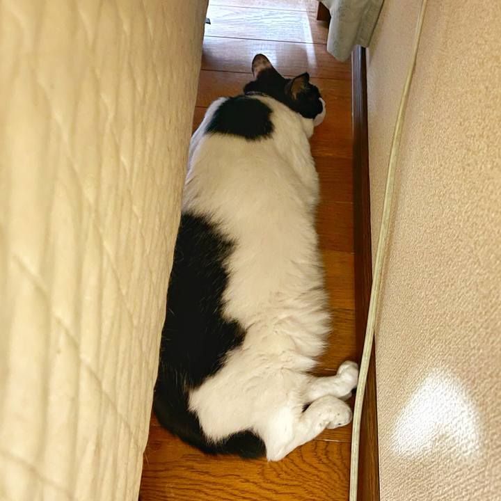 862d5865 ebbb 441d 84f2 8c87fb48978f 1757371823195