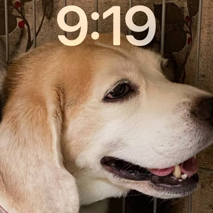 862d6568 bd90 4ee5 be66 05f96529f32c 1684023663636