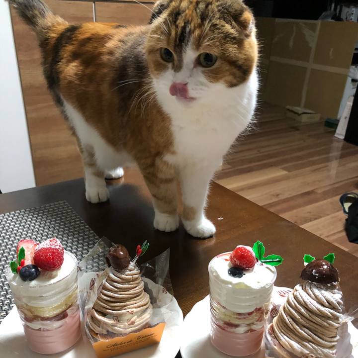 862dc5b2 e4af 427a af1b 589ce78befeb 1608896230292