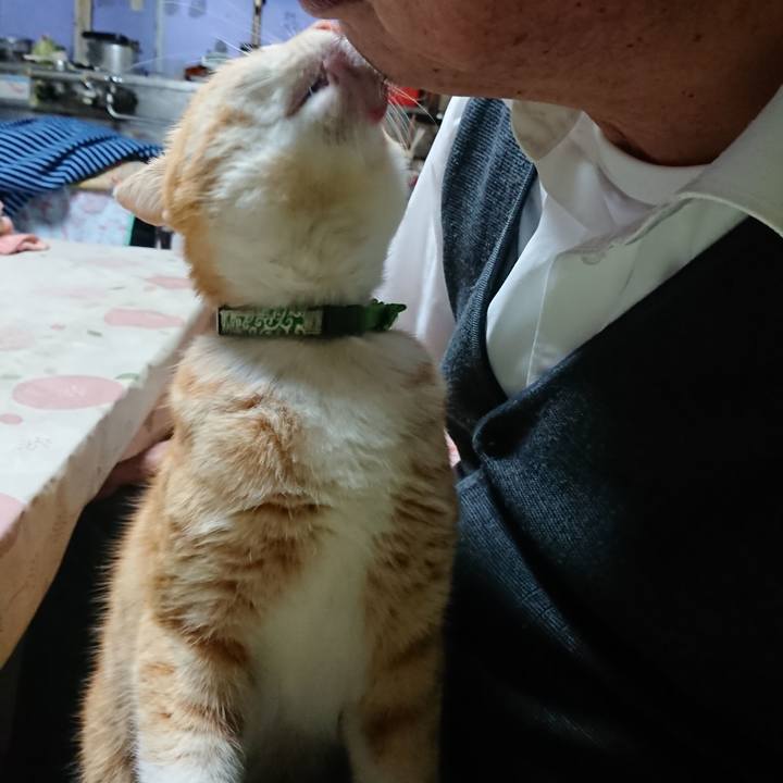 862dd6dd c929 435f 8542 daec2838d1bd 1584349479869