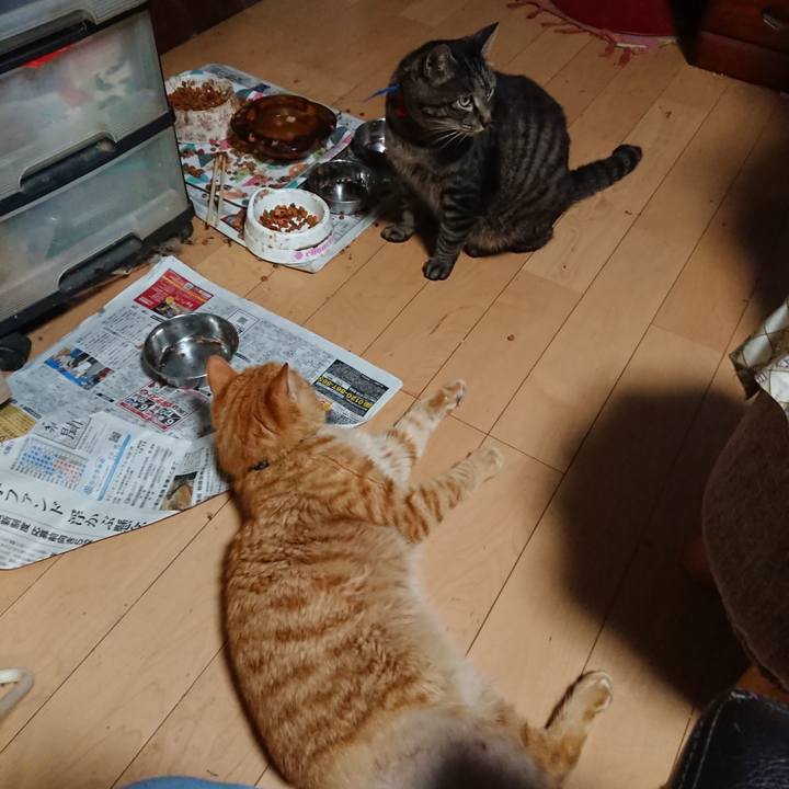 862ddd02 2536 46f2 b5e4 df4ae716b755 1656840334364