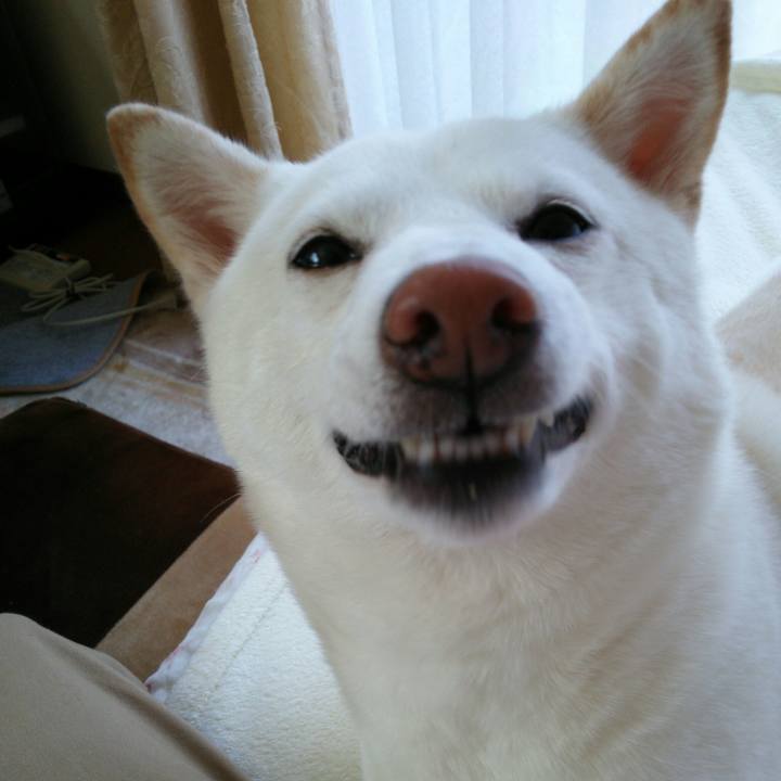 862df50e 42d1 4061 a932 2f38ac27ed79 1552181572136