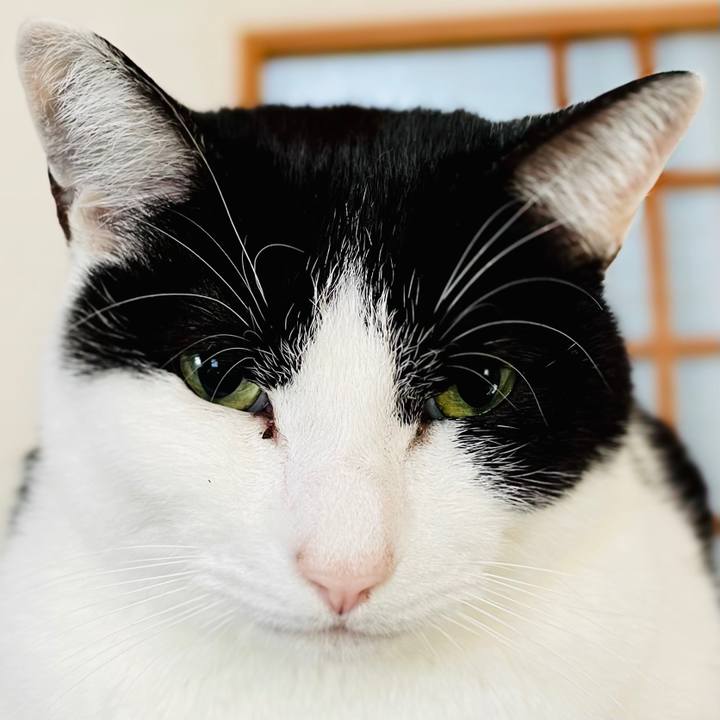 862e2f4a 2594 44b7 b694 590a88dc0fd2 1610417451998