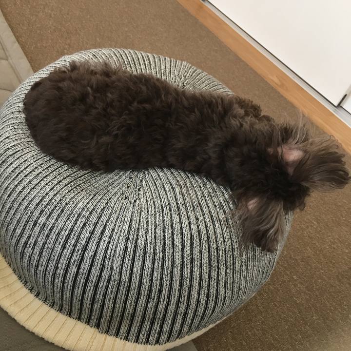 862e63bb fe49 4b6e 9092 4a0c5a06c93f 1524047304688