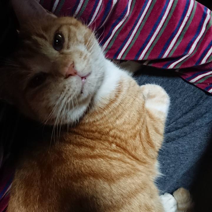 862e645b f6da 4cc9 8435 5e06d4da17ca 1577447431292