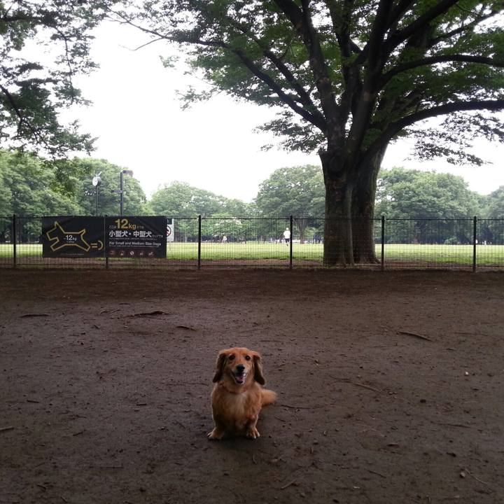 862e6556 8914 4f41 8d44 1b4f58ef0634 1527850871096