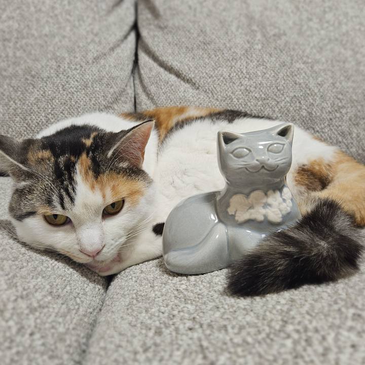 862e680c 9a6f 411f 9576 7fcb567f28fc 1773985980460