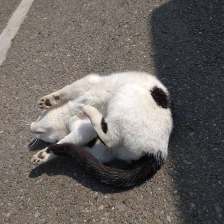 862eaec5 a2d9 48ee 9a6b fdf09e00d93e 1745283556813