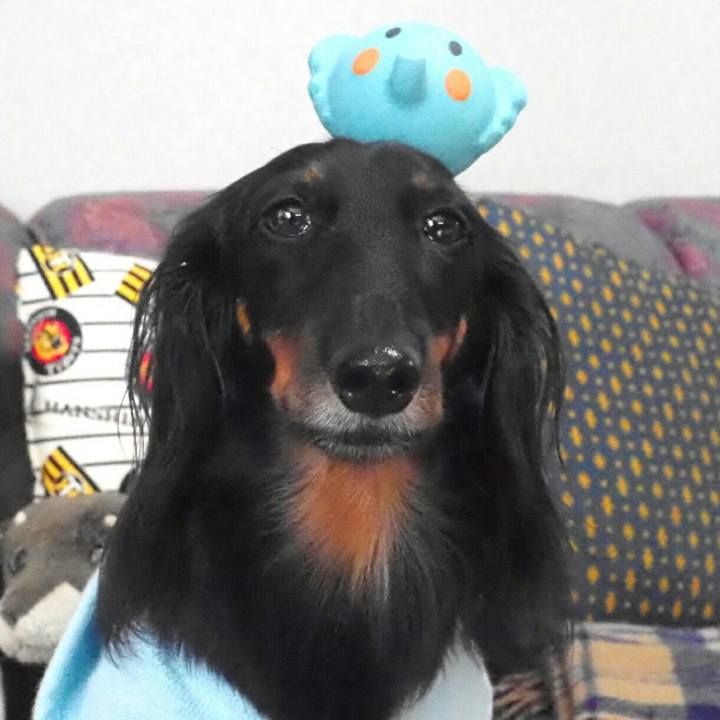 862eb05f f1d6 4e75 b3ac d98f48afad56 1540603043371