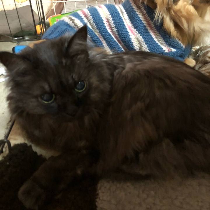 862ebcc4 eead 4448 aa81 a15c6114ed88 1550012988606