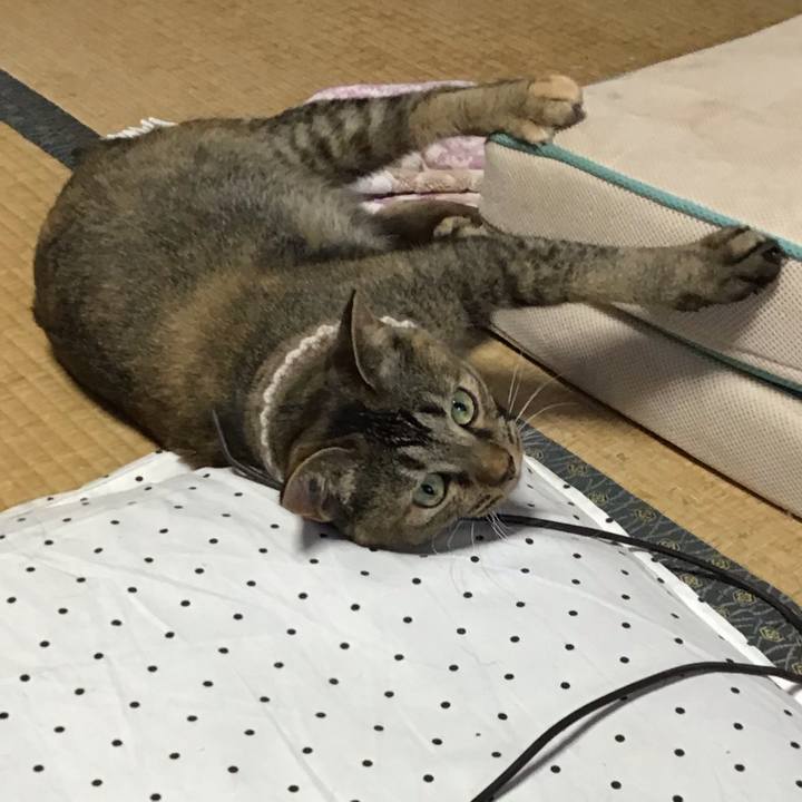 862ee1a8 f317 4a99 b6d1 689c30b964f5 1659259868976