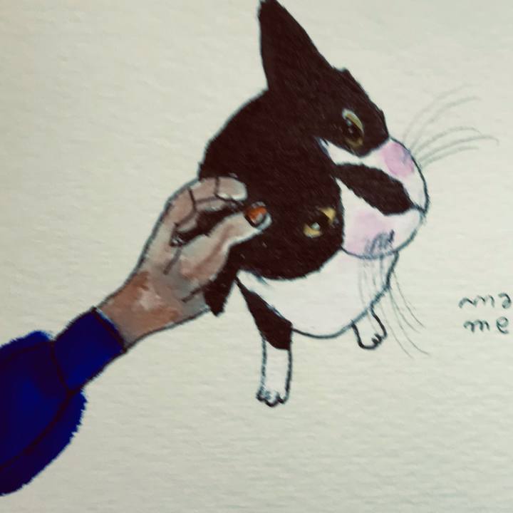 862ee44e 70bf 415f 9f7e 03c27f91ffc9 1623328376283