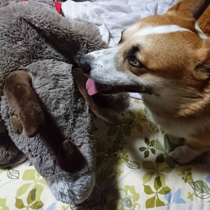 862ee4d9 19ff 4ad3 a188 3ac75b414118 1628214561284