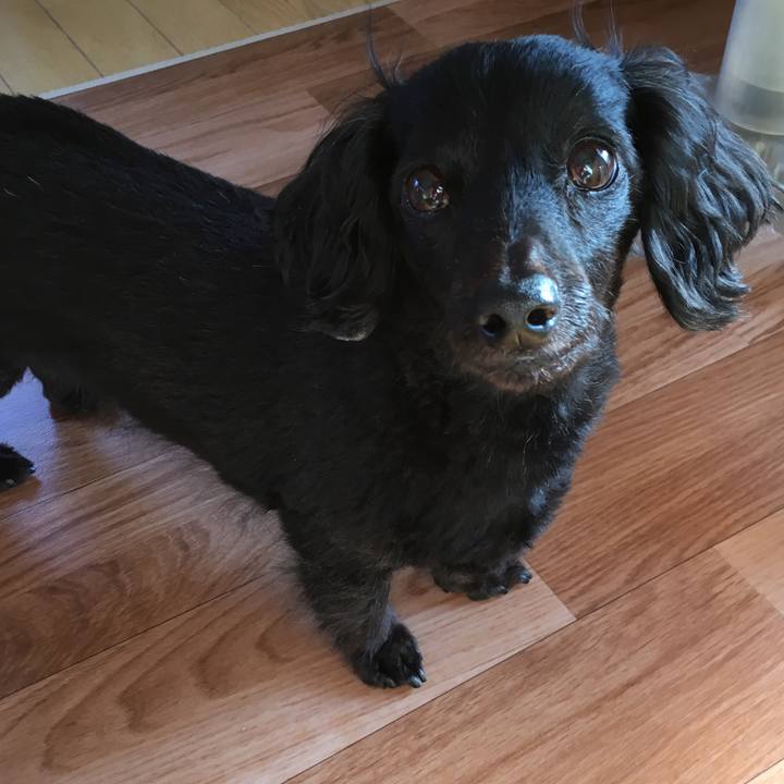 862effad 7645 4e6a be7a a9deb3d95261 1513550886915