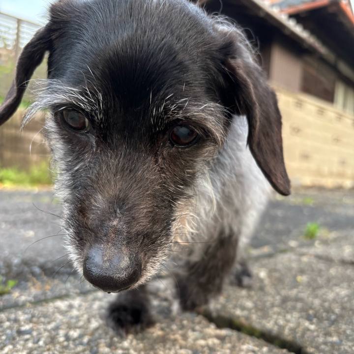 862f176c 9ae3 48c0 a58d 9137804a1047 1746873866883