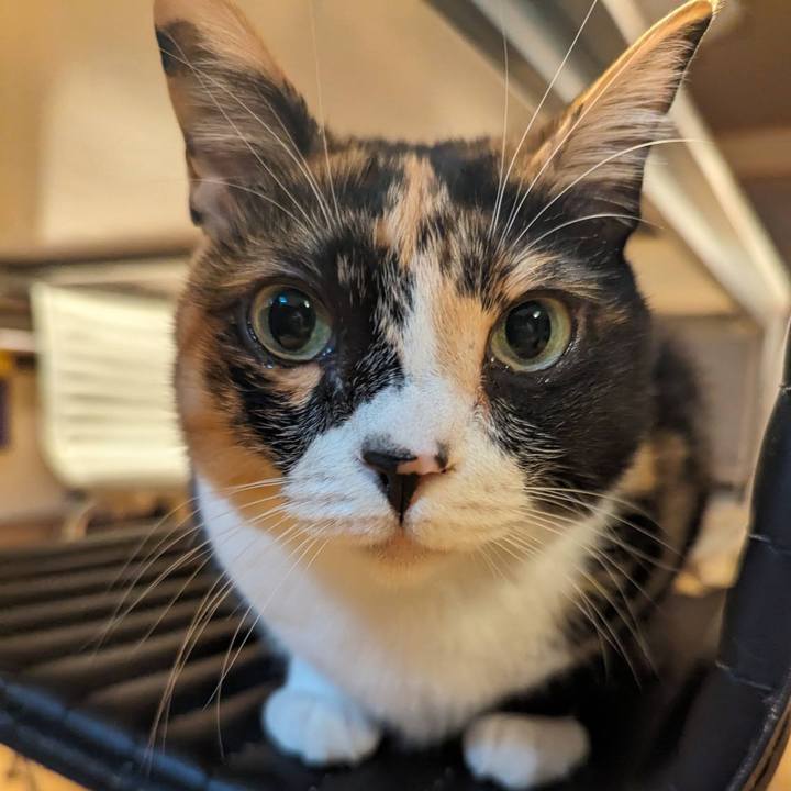 862f3ab2 d75b 4a40 ad53 f35d13044780 1714795578825