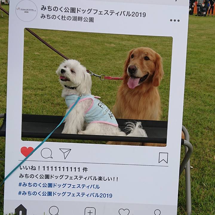 862f6fe5 2354 4939 be6d 446c1d1acc0c 1569141852621