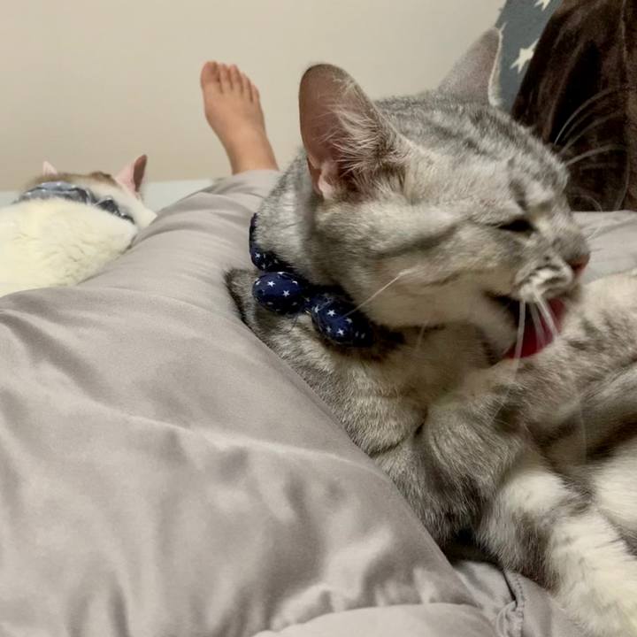 862f7c38 cbd2 495e 84ed 0e1a8d8ab934 1591623434507