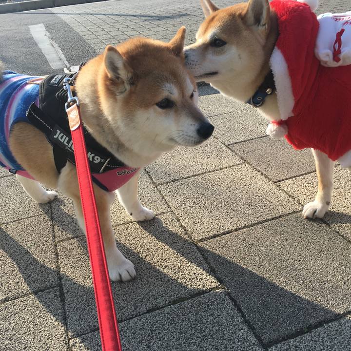 862f7cfb f53d 41db 8368 d47e9756fc55 1576319084242