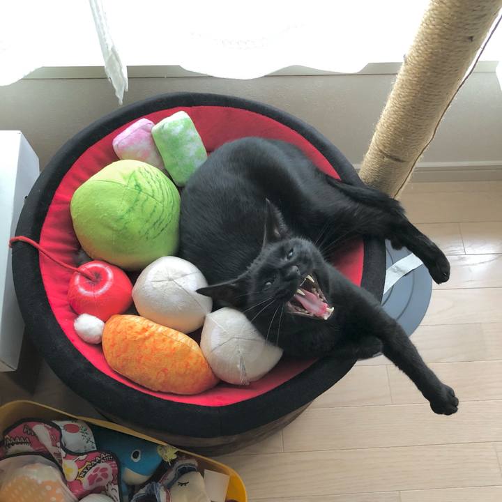 862f8188 a8b1 4fe6 89f9 ecc5ec37b338 1634360148722