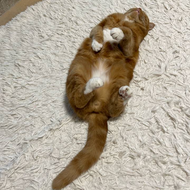 862f9bee 37bc 44eb 9273 1a57386e0115 1689501353706