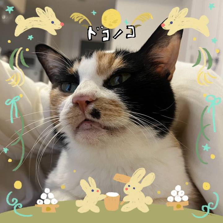 862f9d21 f396 4d2a 9c51 2ce2ade6efbe 1726861899846