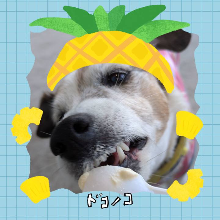 862fafad cfb4 43ae 9ba2 71ecaa671394 1783381721337