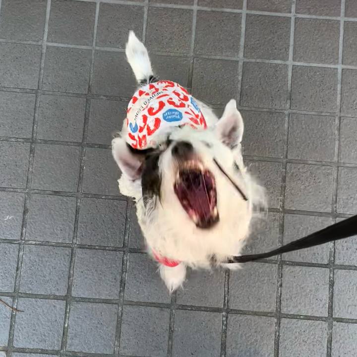 862fbce2 4a03 4a05 99a3 26518d75de31 1706666676509