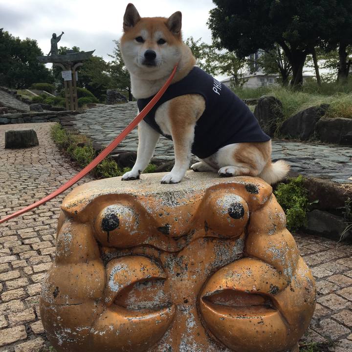 862fcf48 d704 4ec3 9dd0 d9ebbfb80b18 1570493887057