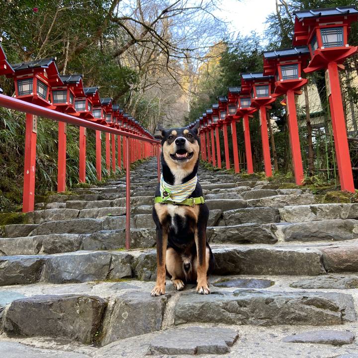 862ffa08 3563 484f 8e44 e9145c03f02d 1615379669647