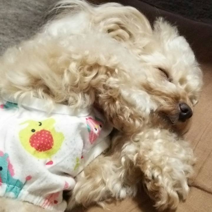 8630254b e151 418b a4ff 062058e17767 1533598594056