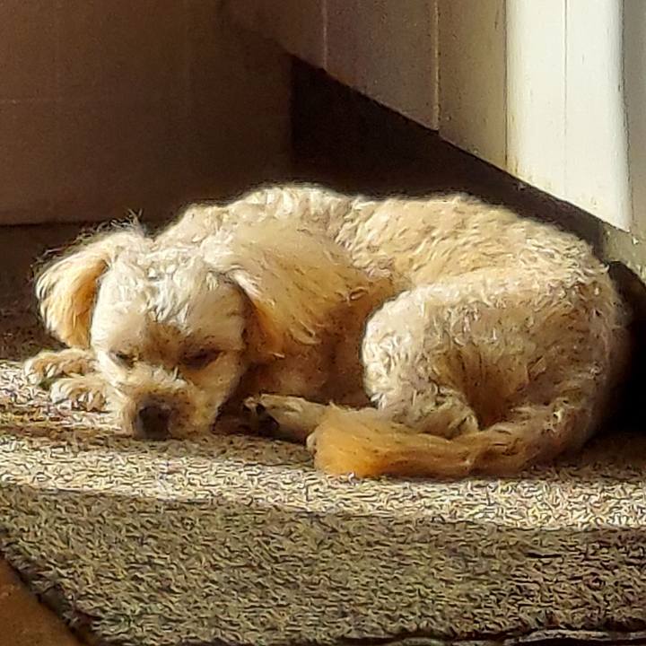 863075e6 e22b 4fb2 98d8 f2f761d7505b 1670822702458