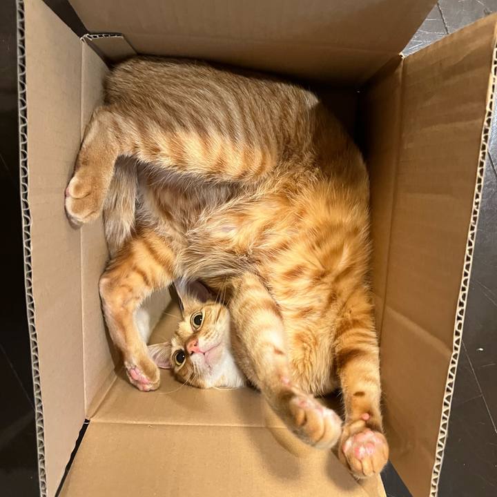 8630a57d 9b45 42dd 890a 831bee85e82b 1698179452558