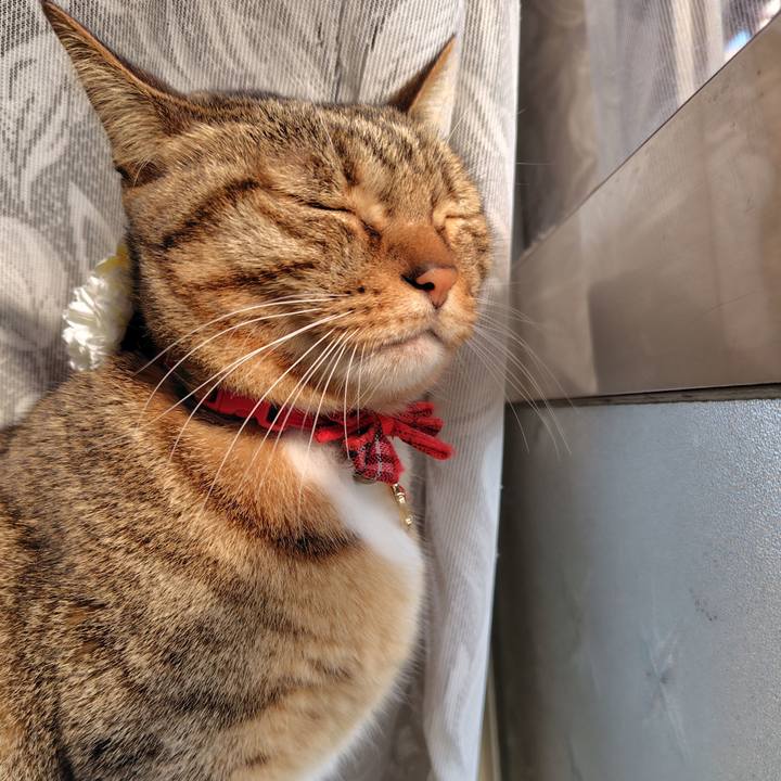 8630bf65 da69 444f b301 97cd9c8818d1 1764896220536