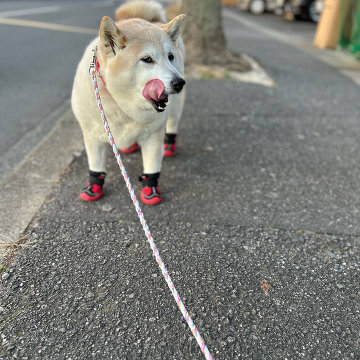 8630cbd6 5aaf 48b0 a9bc d88f38187e2c 1739348078996