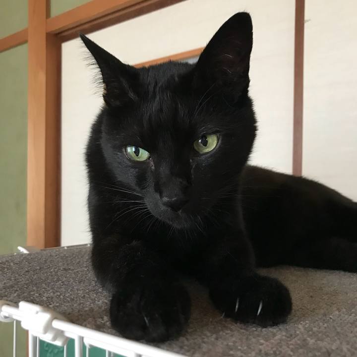 8630efbb ad71 49bb ad8e 89dcf08a8c73 1531097301340