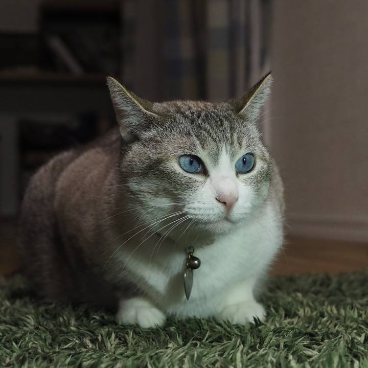 8631502a 9397 416e 89f4 2823dc26543b 1657898384073