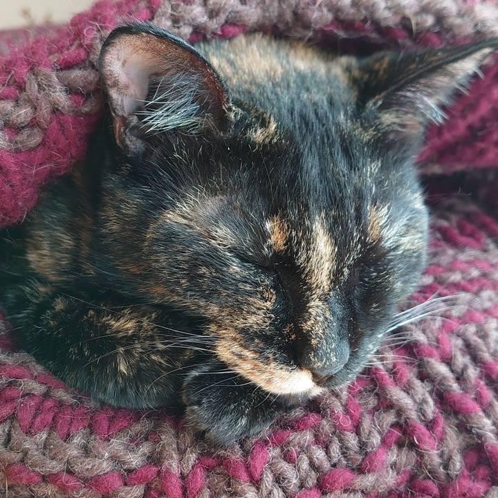 86319507 23f3 4a72 b260 3bcc14f87ad2 1757886875088