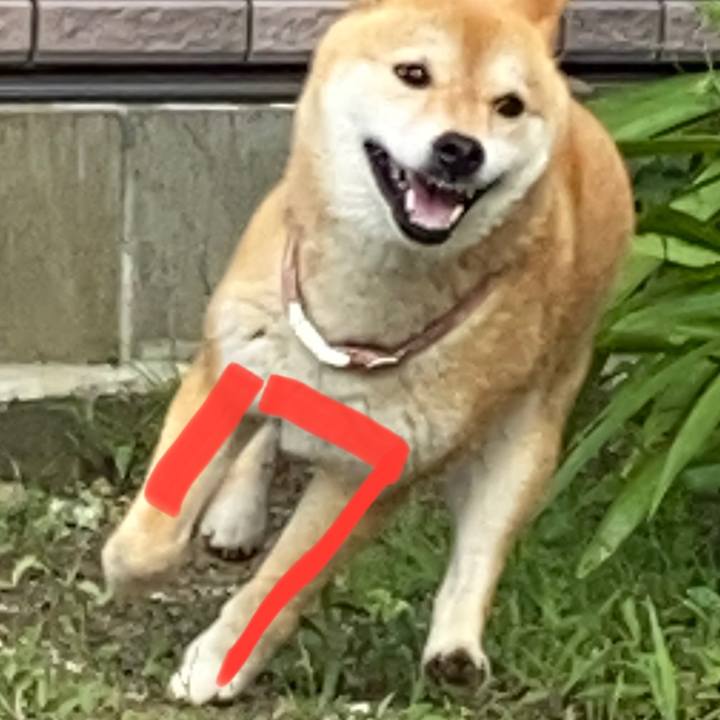 8631a488 b818 4901 9860 73cbed2b48ce 1687320382897