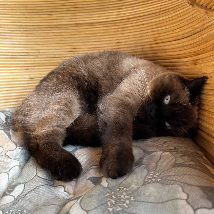 8631d7b6 02f4 4f75 b212 1d75a3fe4347 1641086172610