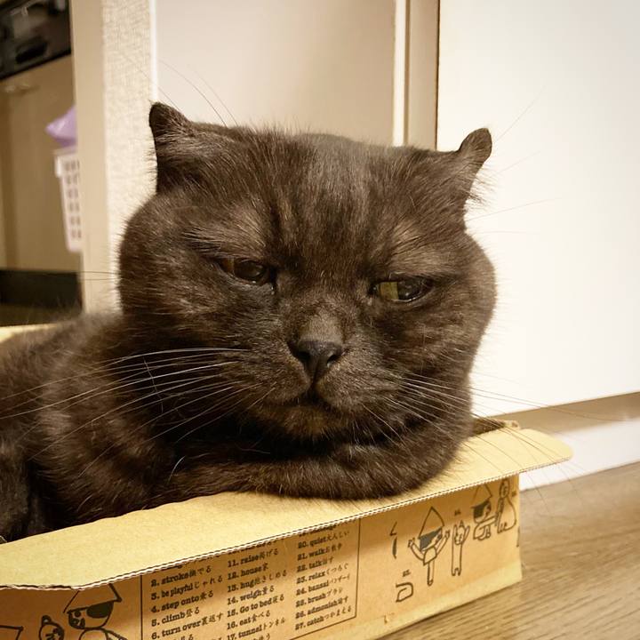 8631d8f2 e7cb 496d 8a8b 96068b6b09f2 1627482290218