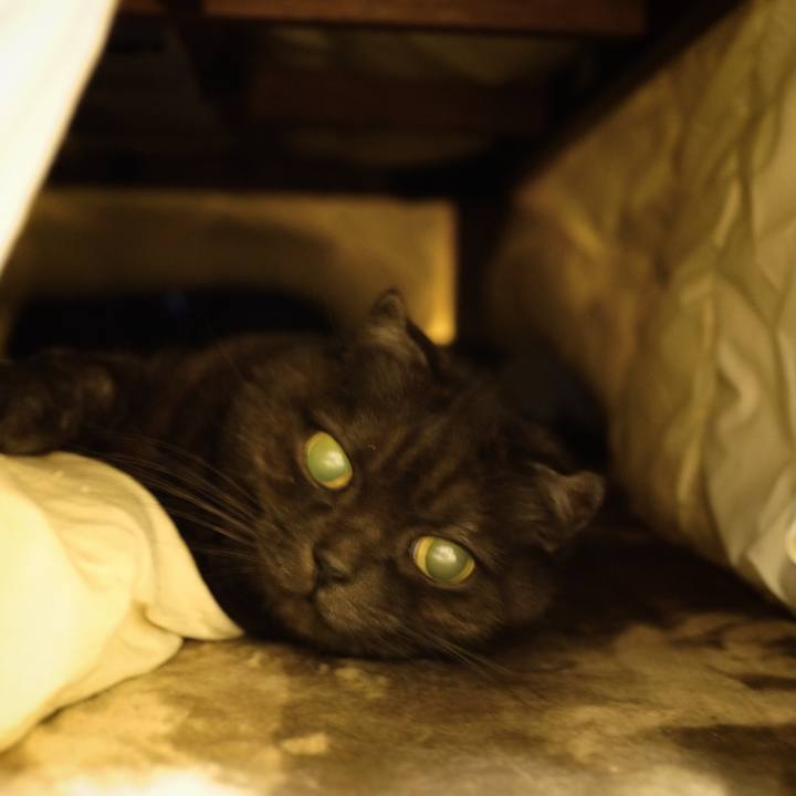 8631f1d8 94df 45ad 9eff bae450ab8060 1641225127003